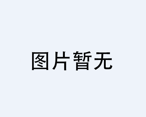 浙江邦強(qiáng) 百絲特6：1環(huán)型穿絲吊帶1